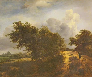 The Bush